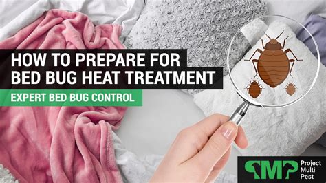 Bed bug control with heat. Things To Know About Bed bug control with heat. 